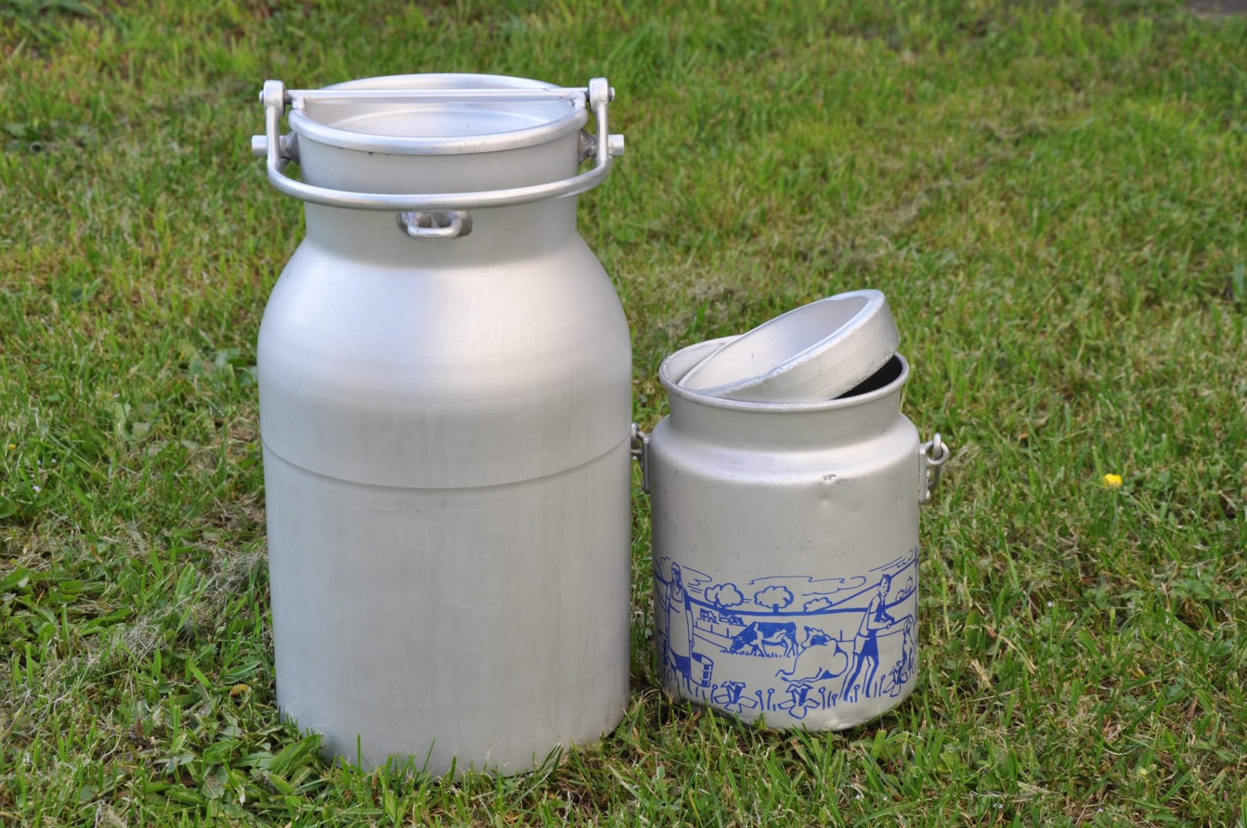 Bidons de lait dans l’herbe